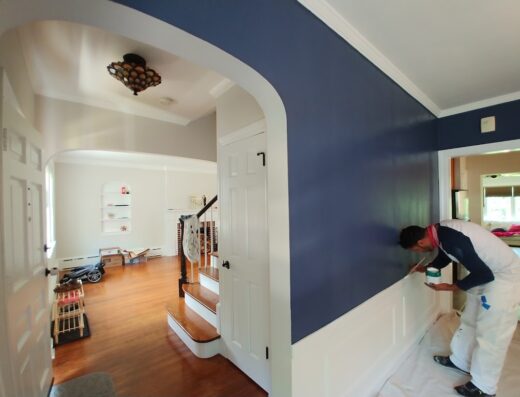 Improovy Painters Phoenix