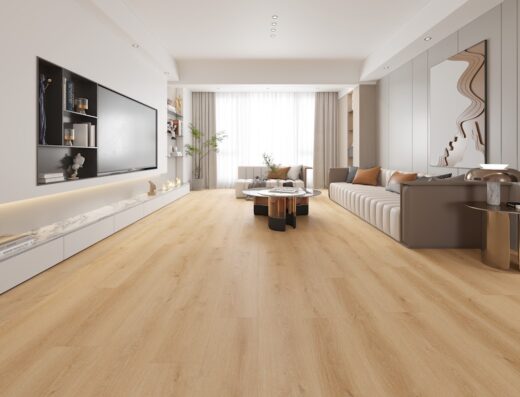 Lions Floor