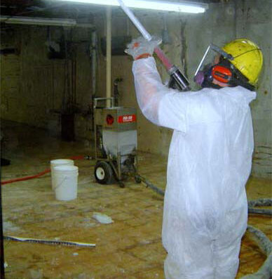 Phoenix Mold Removal
