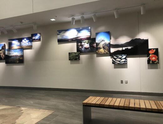 Salt River Project